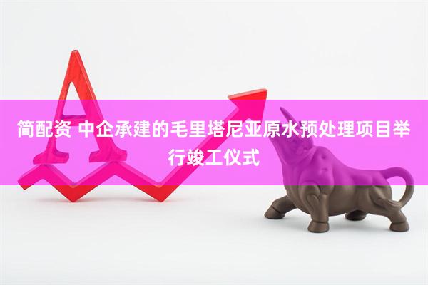 简配资 中企承建的毛里塔尼亚原水预处理项目举行竣工仪式