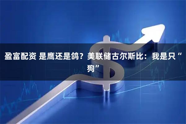 盈富配资 是鹰还是鸽？美联储古尔斯比：我是只“狗”