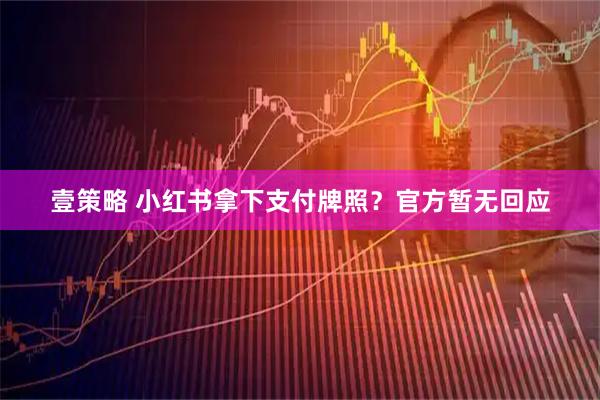 壹策略 小红书拿下支付牌照？官方暂无回应