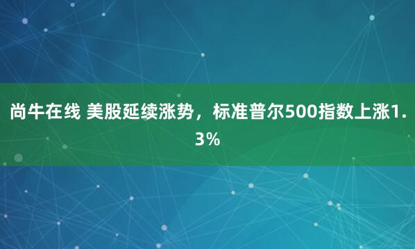 尚牛在线 美股延续涨势，标准普尔500指数上涨1.3%