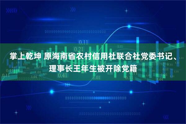 掌上乾坤 原海南省农村信用社联合社党委书记、理事长王年生被开除党籍