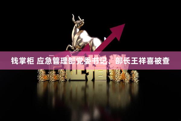 钱掌柜 应急管理部党委书记、部长王祥喜被查