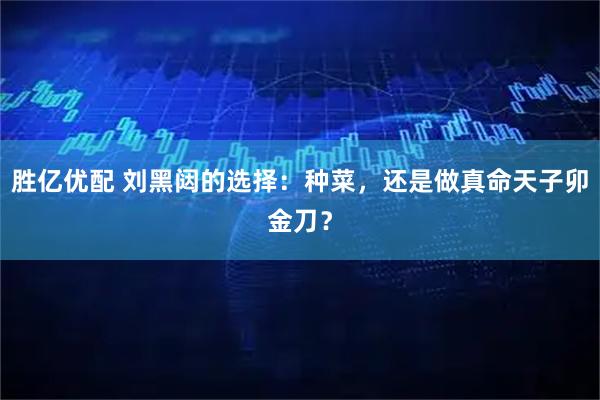 胜亿优配 刘黑闼的选择：种菜，还是做真命天子卯金刀？