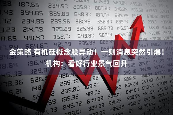 金策略 有机硅概念股异动！一则消息突然引爆！机构：看好行业景气回升